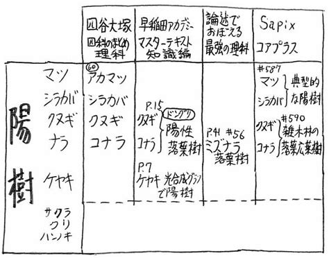 陽木|陰樹と陽樹の違いと代表的な樹木 